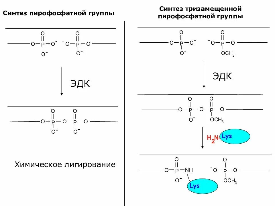 Synthesis group