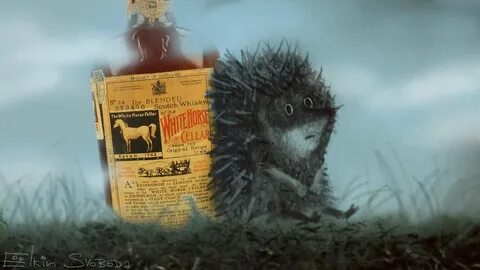 Туман смешные картинки