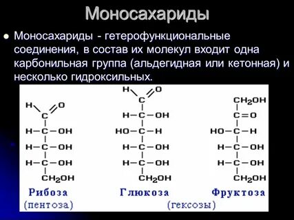 Молекулы липидов состоят из аминокислот моносахаридов