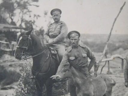 Командир полка полков