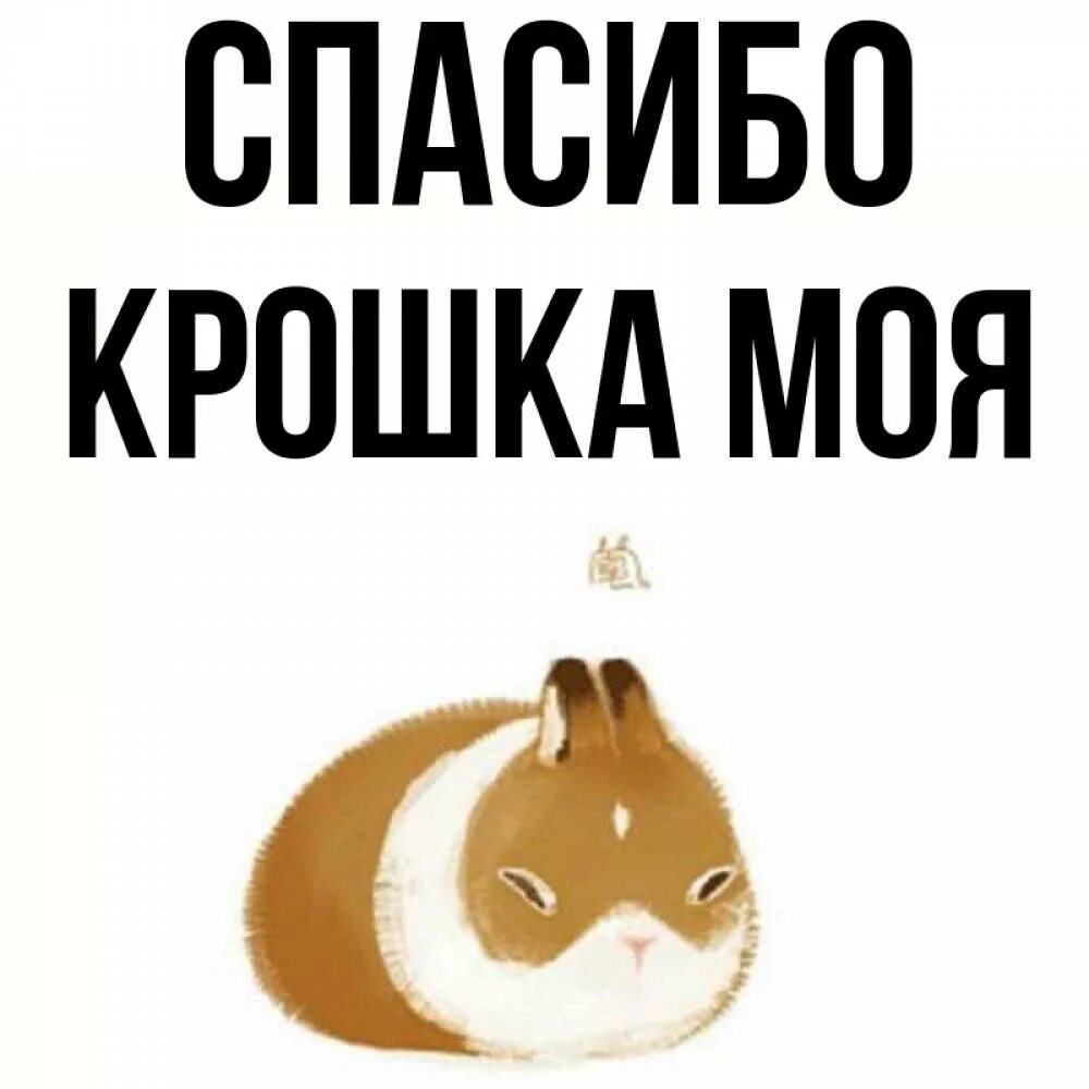 Салон крошка моя