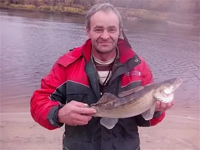 Шишков тюмень