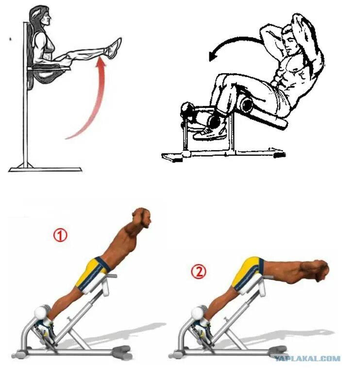 Как накачать пресс в зале
