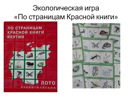Игра красной книги