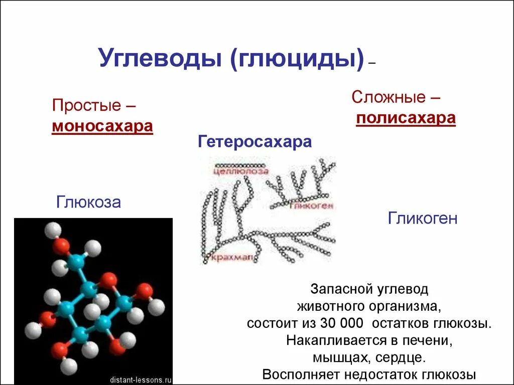 Запасным углеводом животных является