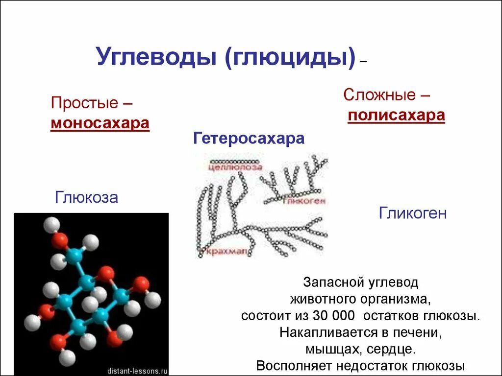 Запасным углеводом человека является. Глюциды это. Простые углеводы Глюкоза. Сложные углеводы Глюкоза. Сложные углеводы гликоген.