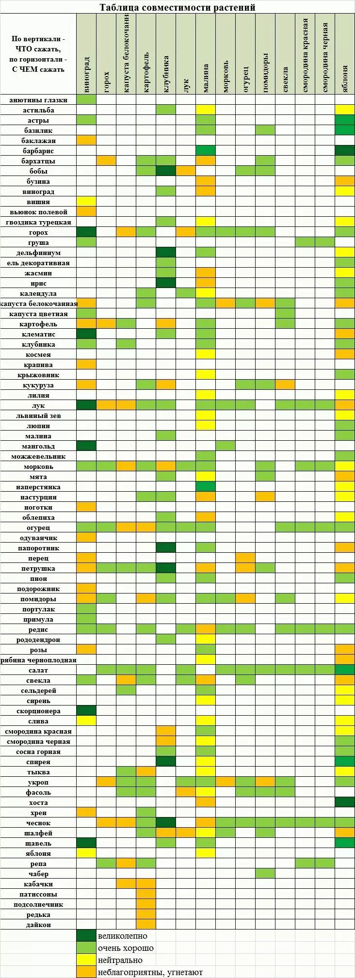 Совместимость яблони. Совместимость огородных растений на грядке таблица. Совместимость посадки овощей в огороде на грядках таблица. Таблица совместимости овощных культур при посадке на огороде. Таблица совмещенных посадок растений на грядке.