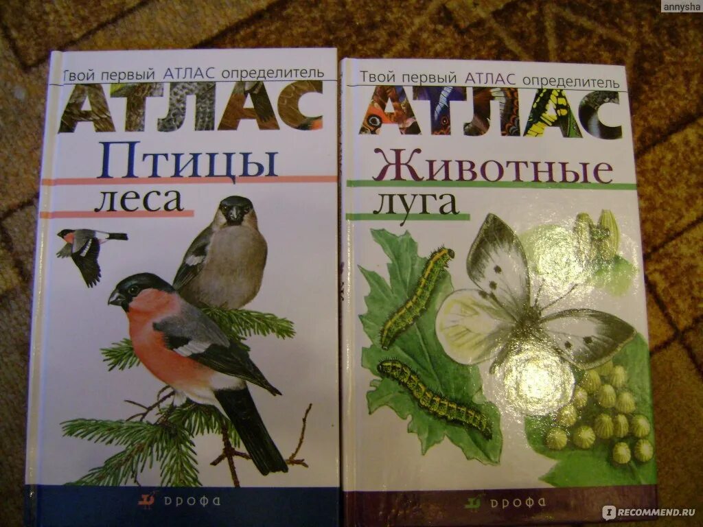 Определитель растений и животных. Атлас определитель птиц. птицы леса книга. атлас определитель животные леса. атлас птицы леса.