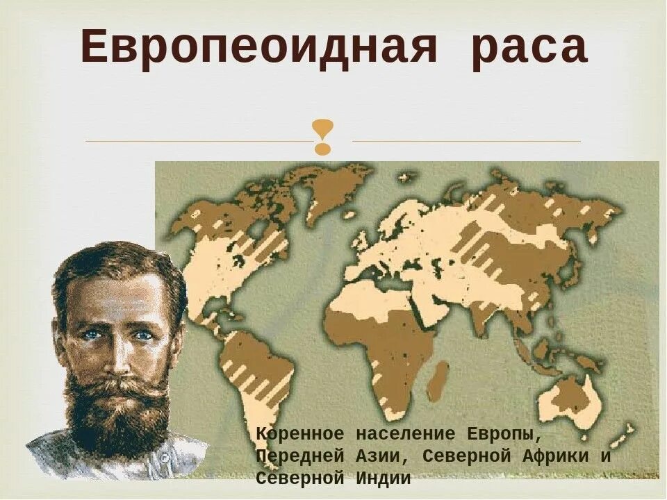 Человеческая раса европеоидная. Ареал распространения европеоидов. Европеоидная раса Южная ветвь внешность. Европеоидная Евразийская раса. Европеоидная раса представители.