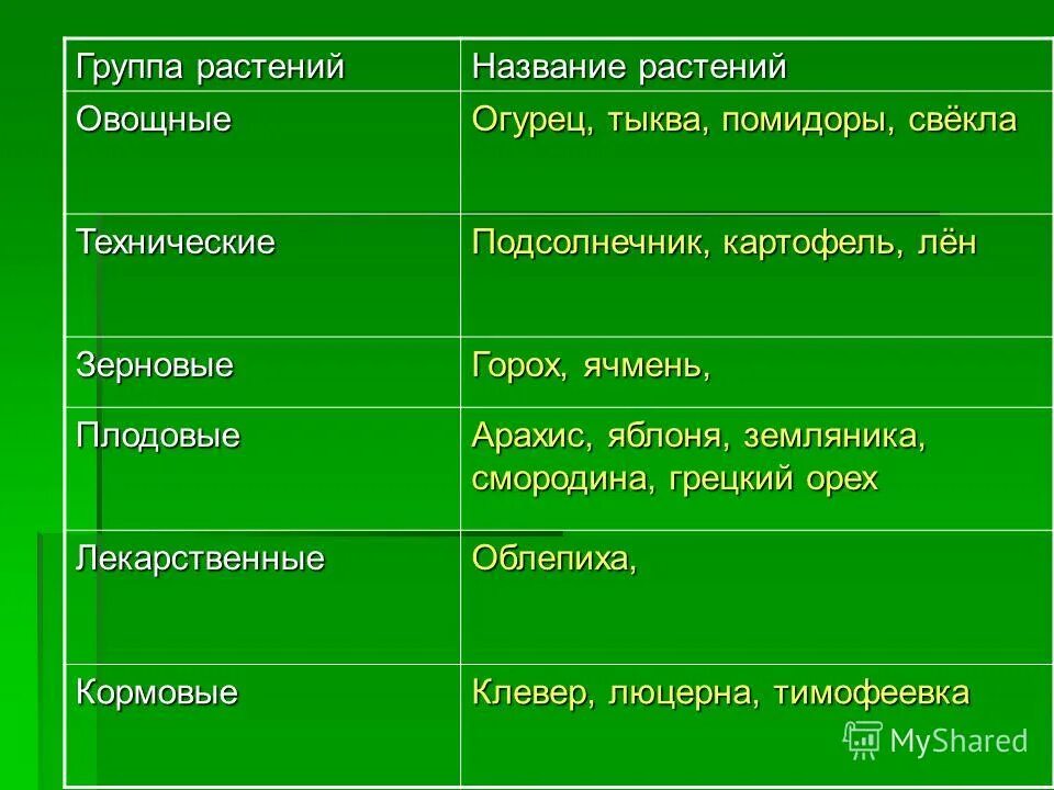 центры происхождения растений по вавилову таблица. культурные растения овощные плодовые зерновые декоративные. разнообразие культурных растений. таблица вавилова центры происхождения. семейства культурных растений таблица.