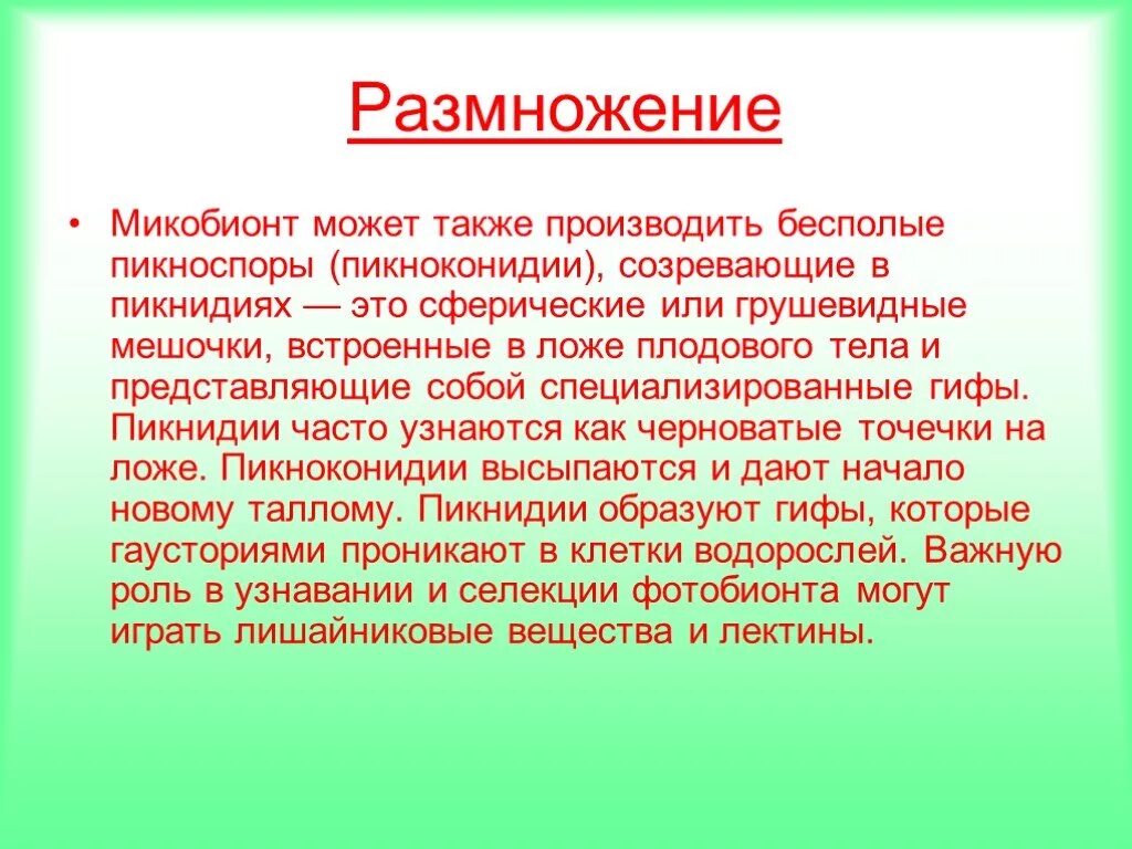 Микобионт это в биологии. Микобионт лишайника. К функциям микобионта в лишайнике. Фотобионты лишайников. Фотобионт это.