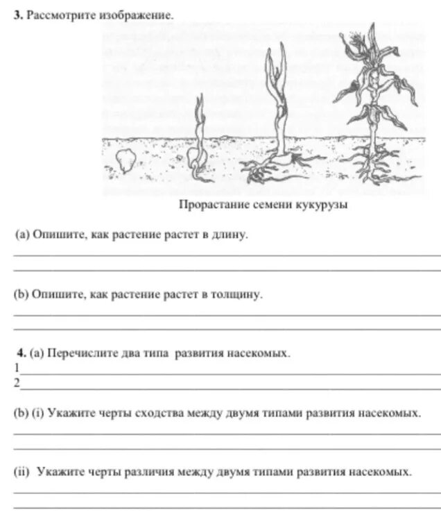 Рассмотрите изображение. Сор 2 по биологии 7 класс 3 четверть. Сор по биологии 7 класс 3 четверть. Сор по биологии 7 класс 3 четверть 2 сор. Сор по биологии 9 класс