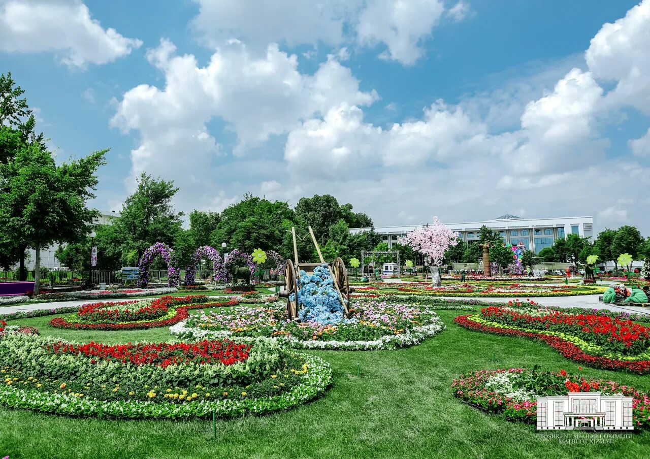 Tashkent Flower Festival 2022. Наманган гуллар фестивали 2022. Гуллар фестивали 2022 Ташкент. Фестиваль цветов в Ташкенте 2022 года.