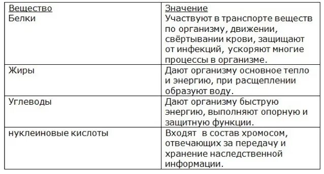 05 05 значение. Заполните таблицу органические вещества клетки 5 класс биология. Органические вещества клетки таблица 5 класс биология. Таблица органические вещества клетки 5 класс биология значение. Органические вещества клетки таблица 9 класс биология.