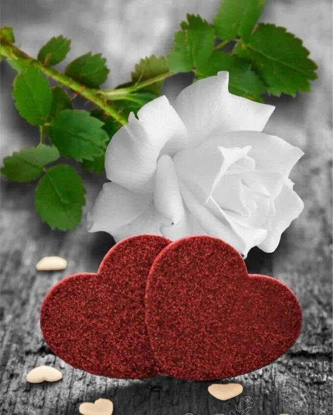 Цветы любви в вади сафия. Романтические цветы. Красивое сердце. Красивые сердечки. "Цветы любви".