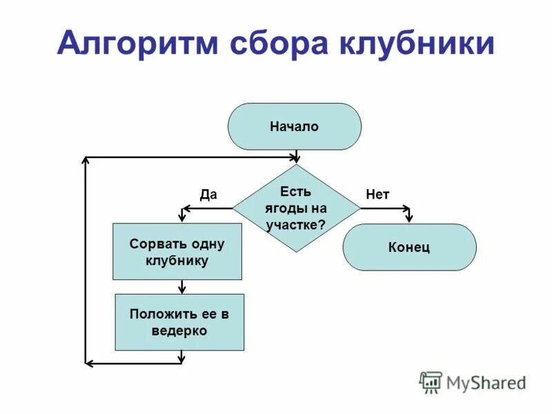 Алгоритм по сбору клубники. Циклический алгоритм сбора клубники. Циклический алгоритм сбор ягод. Алгоритмы как собирать ягоды. Алгоритм сбора системы