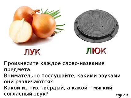 Сколько слов в слове лук