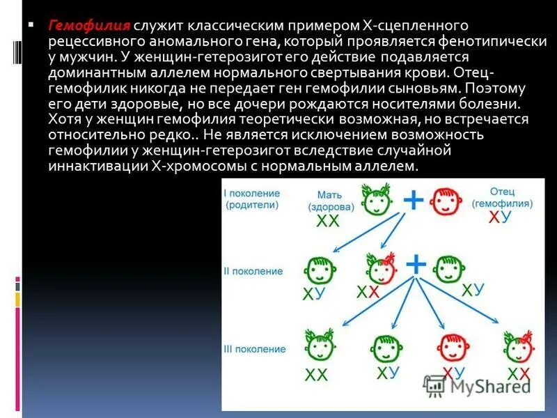 задачи с х хромосомой. наследование гемофилии гемофилия сцепленное. генетические схемы наследования гемофилии. наследование признаков сцепленных с полом гемофилия дальтонизм. сцепленное наследование признаков генетика пола.
