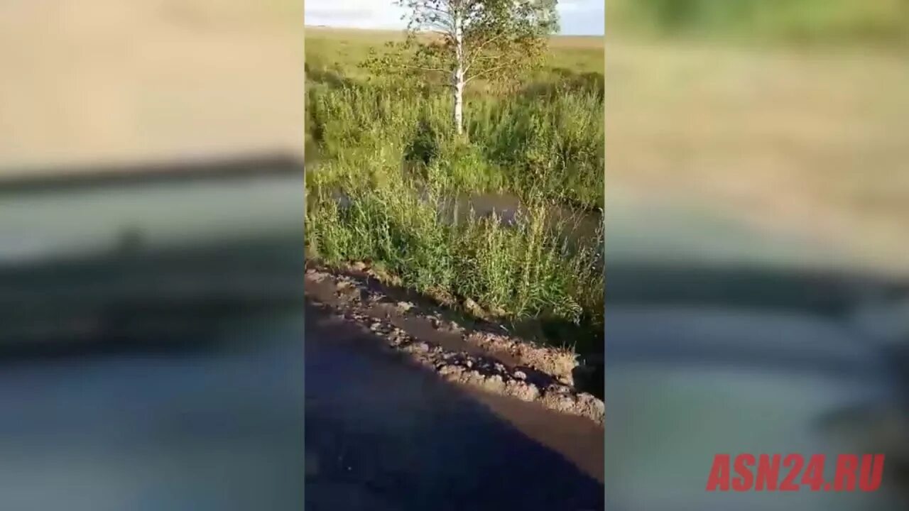Остров скребцова владивосток. Погода в коврижке амурская область. Зарайск коврижка. Село рогозовка амурская область. Поселок зея амурская область.