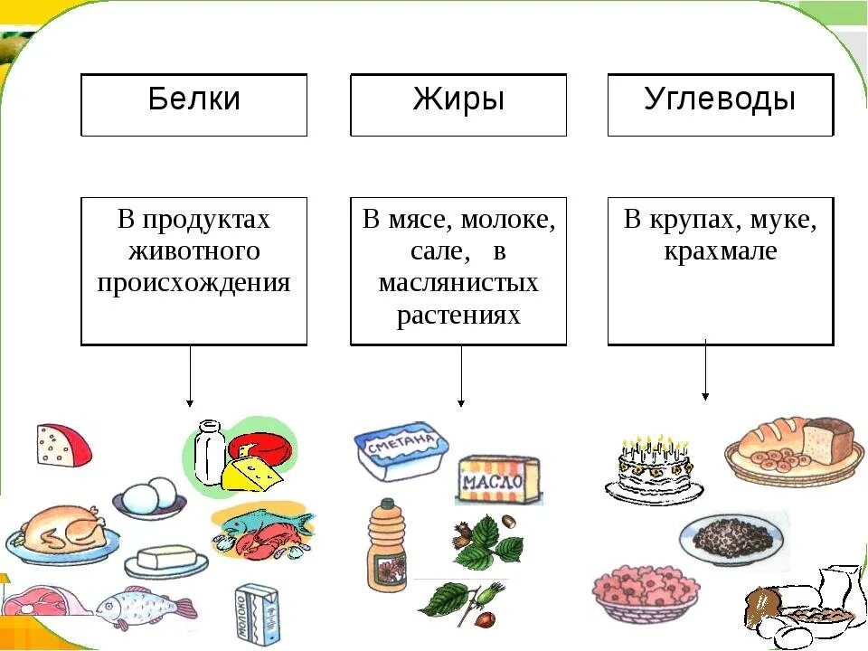 Питательные вещества белки жиры углеводы витамины 3 класс. Питательные вещества белки жиры углеводы схема. Белки жиры углеводы витамины окружающий мир 3 класс. Продукты богатые углеводами жирами. Питание белки жиры углеводы витамины