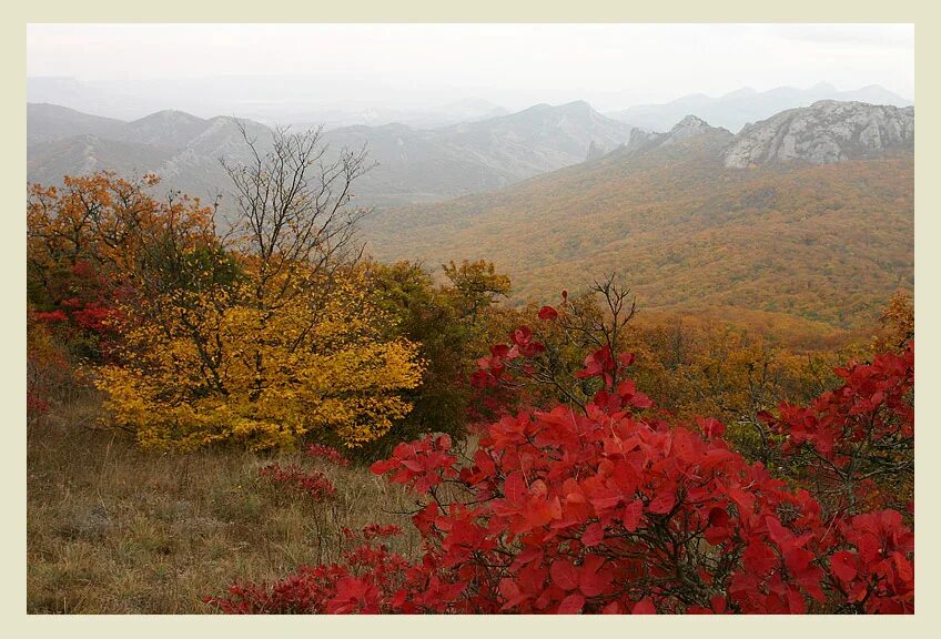 Осень в крыму. Волшебное утро в горах демерджи. Крымские леса осенью. Цветная осень в крыму. Осеннее море.