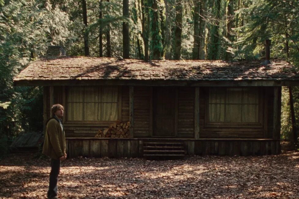 Хижина в лесу 2023. Cabin in the Woods.