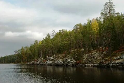 Парк заповедник в карелии