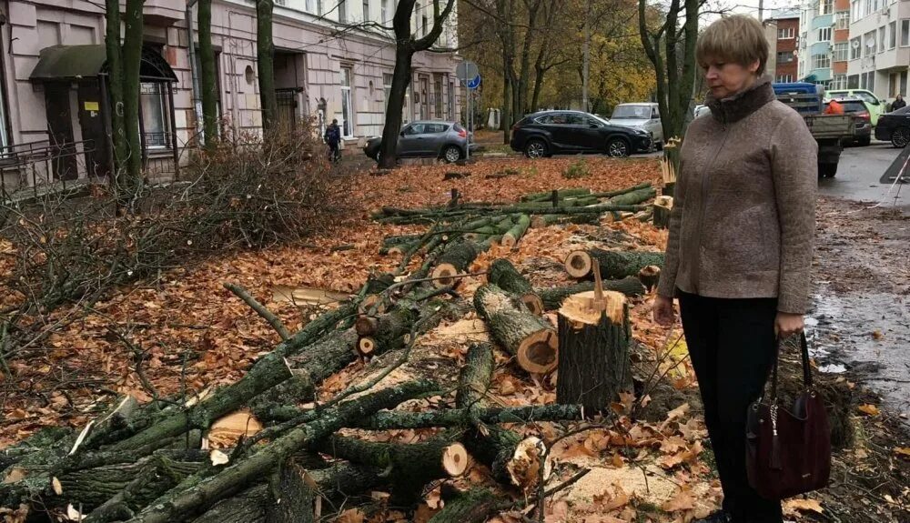 Митинг в котельниках. Жители пожаловались. Жители белгорода обратились к мистеру зеленскому. Анонс встречи с жителями. Жители ростова.