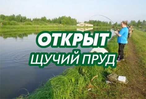 Щучий пруд