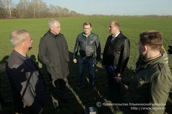 Вадим мартынов кфх возрождение. Кфх возрождение ульяновская область. Кфх возрождение ульяновская область. Кфх возрождение чердаклинский. Кфх возрождение ульяновская область.