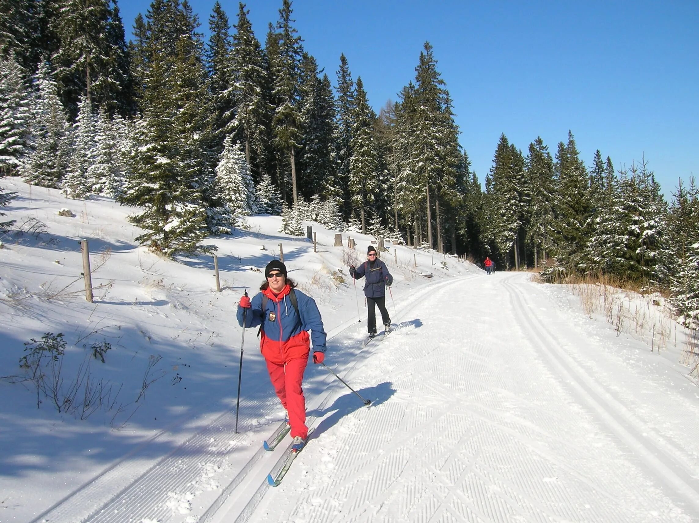 Зимой где сидели. Лыжник в лесу. Лыжи зимой. Прогулка на лыжах. Зимнее катание на лыжах.