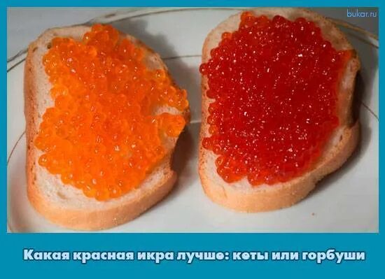 Какая икра вкусней горбуша нерка или кета. Икра кеты и икра горбуши. икра нерки горбуши кеты. кета и горбуша икра. икра кеты и горбуши отличия.