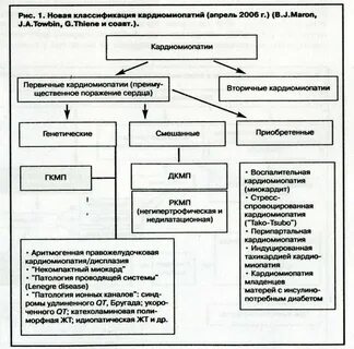 Классификация кардиомиопатий