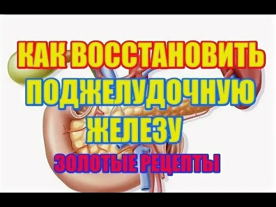 Как быстро восстановить поджелудочную. Как восстановить поджелудочную железу.