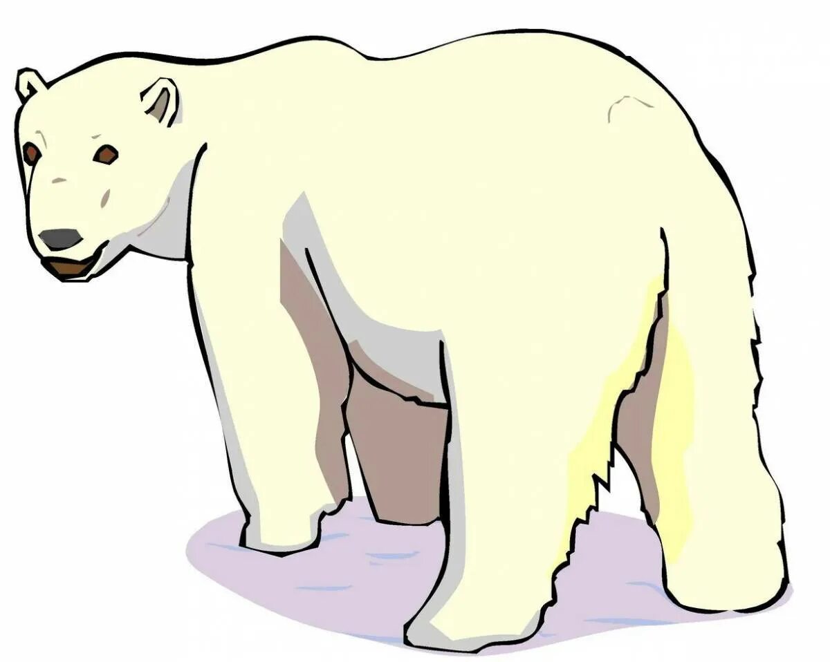 Белые картинки для детей. Изображение белого медведя для детей. Белый медведь рисунок для детей. Белый медведь картина для детей. Полярный медведь мультяшный.