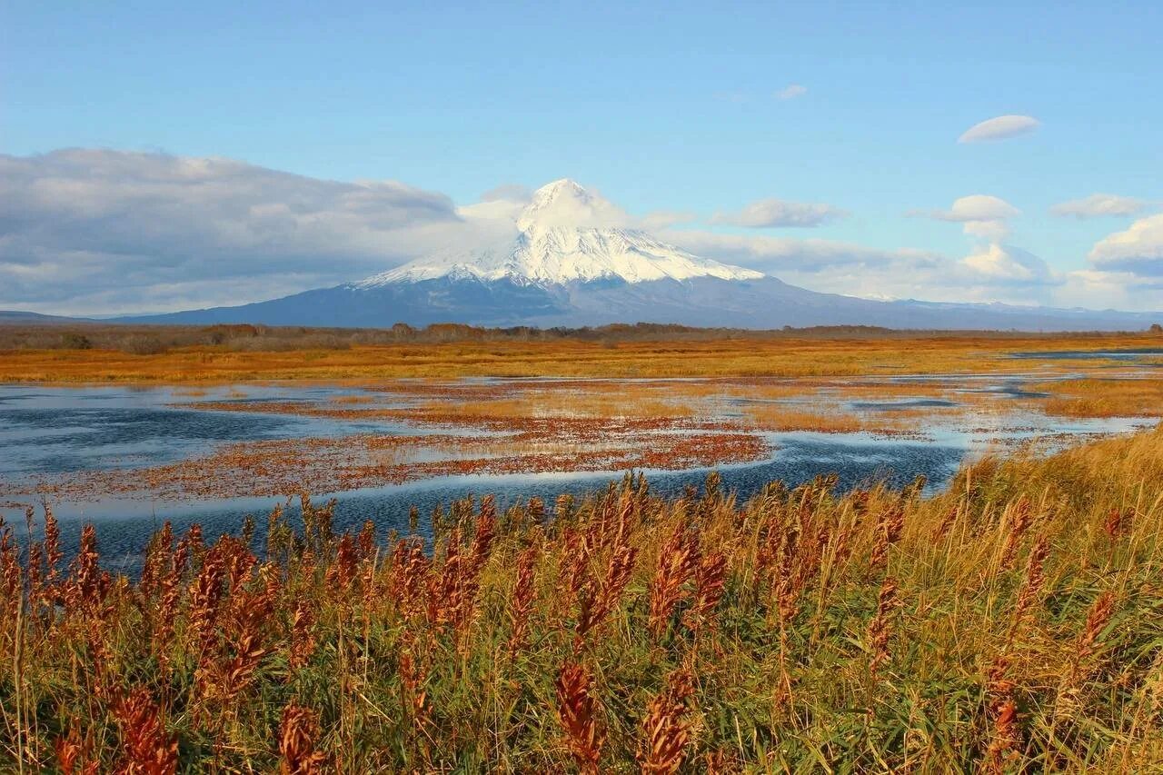 Кальдера вулкана узон. Кроноцкий заповедник вулкан узон. Кроноцкий заповедник природа. Озеро узон камчатка. Кроноцкий заповедник кроноцкого заповедника.