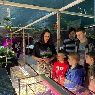 Выставка хищных растений и насекомых череповец