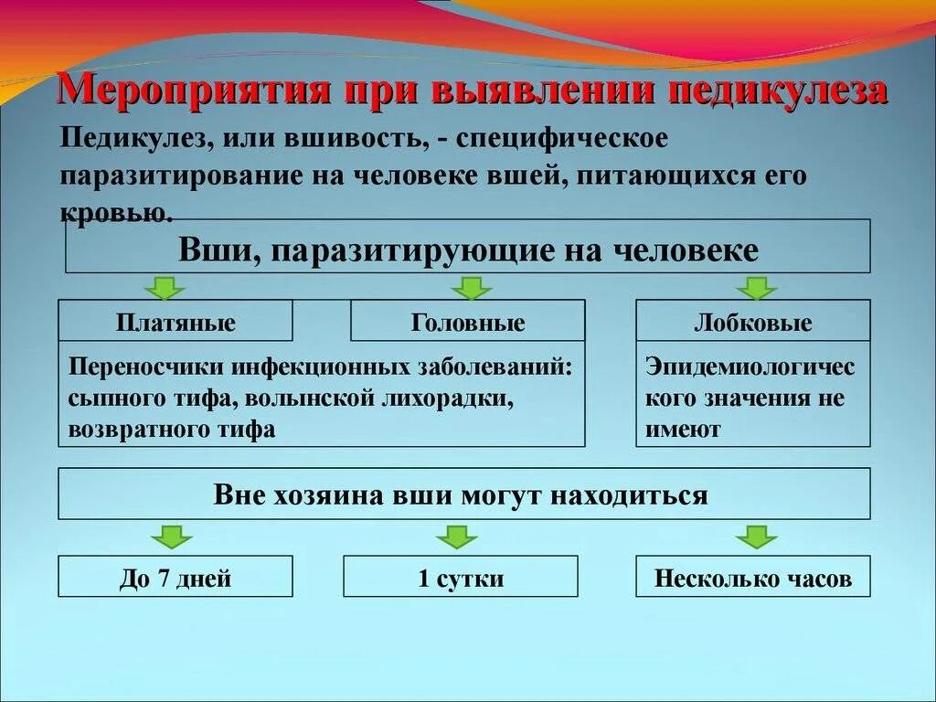 Обработка при педикулезе. Мероприятия при выявлении педикулеза. Схема " обработка пациента при педикулезе". Обработка больного на педикулез алгоритм. Проведение обработки пациента при обнаружении педикулеза.