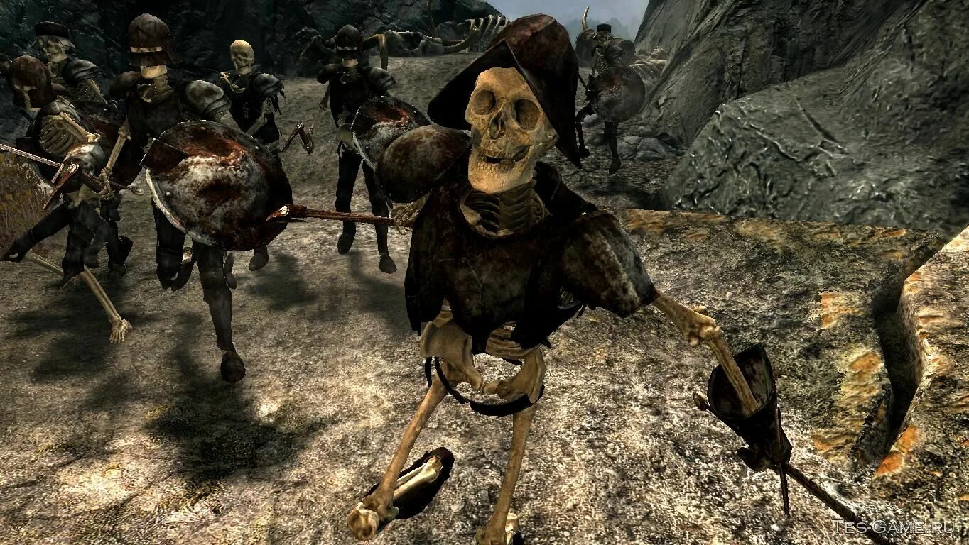 Скелет аргонианина. The elder scrolls 4 oblivion скелеты. Skyrim скелеты в броне. Skyrim моды скелет. Скайрим мод skeleton.