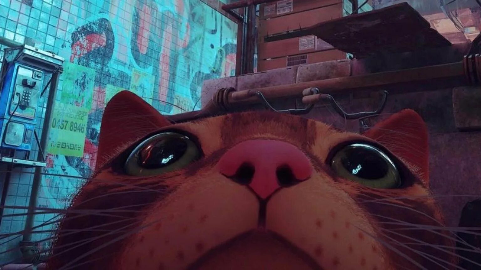 Кот гейм. Stray игра 2025. стрей котик игра. игра за кота 2025 stray. игра с котом в реальной жизни.