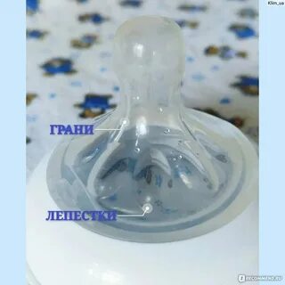 Отверстия в сосках