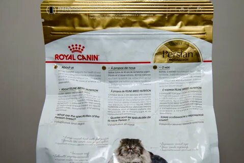 Роял канин для кошек какого класса