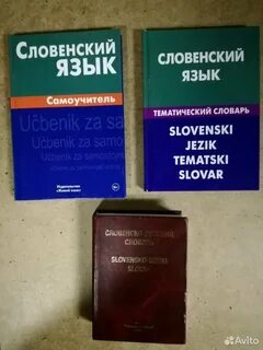 Словенский язык