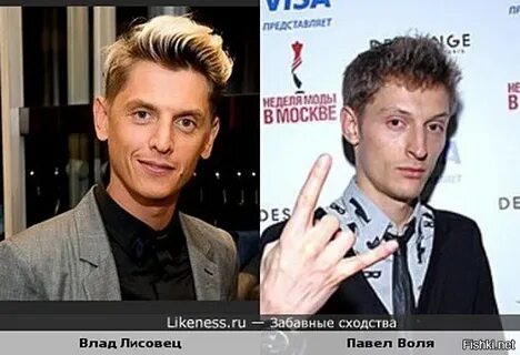 Воля брат воля