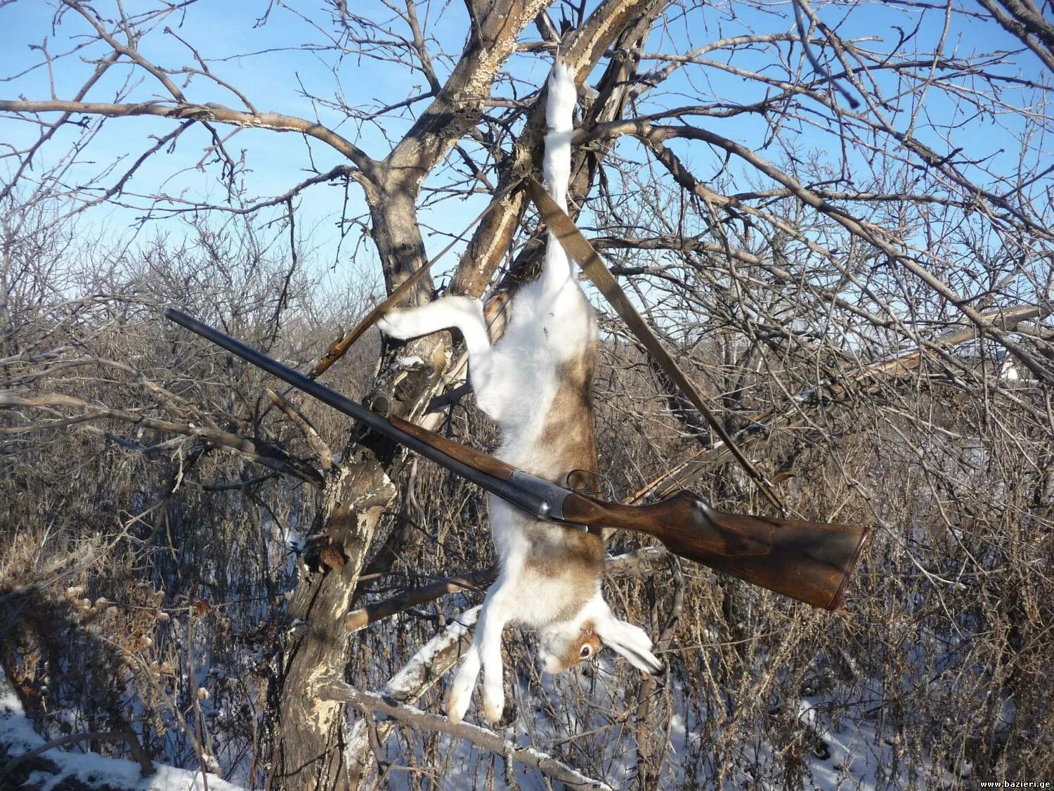 Стреляный зверь 3. Петля на зайца.