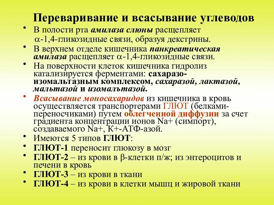 Ферменты слюны участвуют в расщеплении углеводов. Переваривание и всасывание углеводов в желудочно-кишечном тракте. Переваривание и всасывание углеводов в пищеварительном тракте.. Углеводы пищи переваривание и всасывание биохимия. Переваривание и всасывание углеводов биохимия кратко.