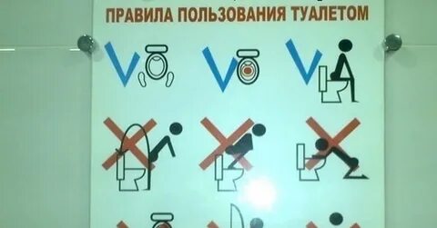 Как пользоваться туалетом