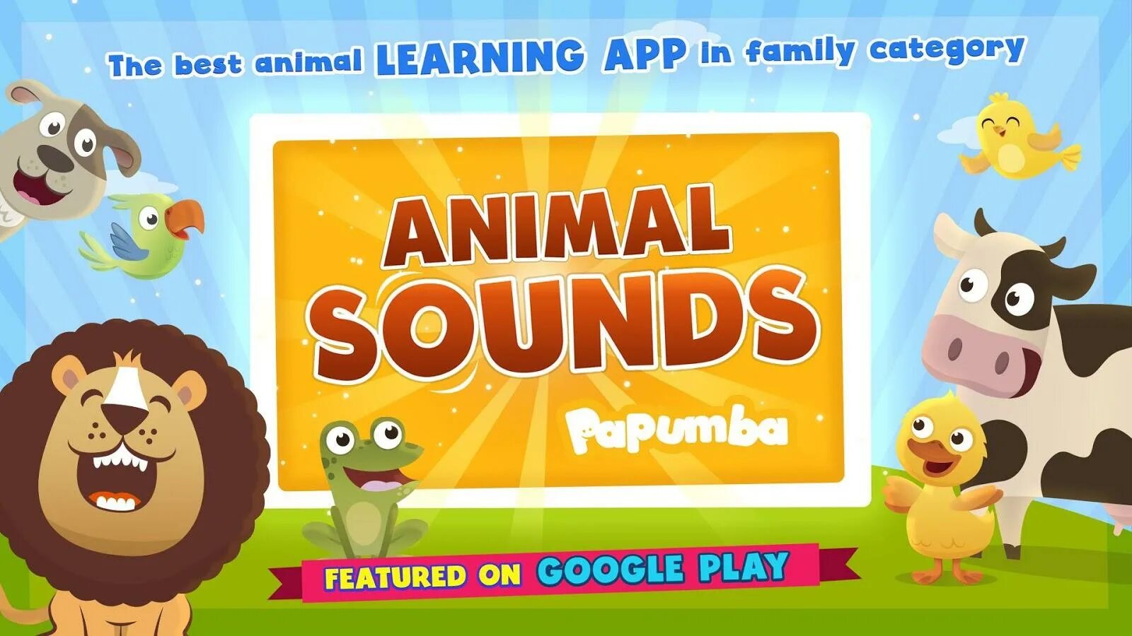 Animals программа
