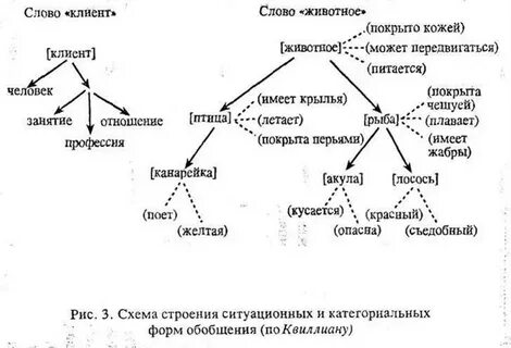 Семантическая структура