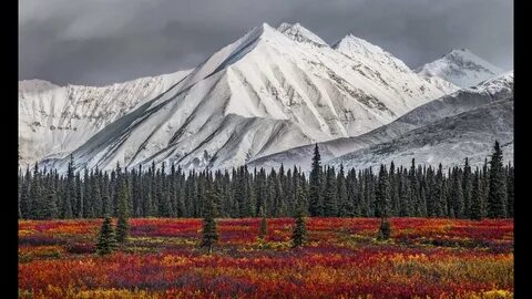 Alaska state